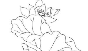 大門前種什么花樹最好 旺宅養(yǎng)人大富大貴