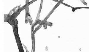 大門口兩邊最旺宅的植物 多子多福健康長(zhǎng)壽