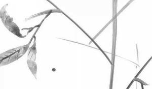 房子?xùn)|面和西面哪個(gè)好 東富西貴飛黃騰達(dá)