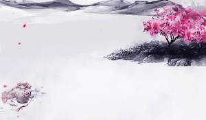 店里財(cái)位上放什么最招財(cái) 招財(cái)貓貔貅吸財(cái)鎮(zhèn)宅