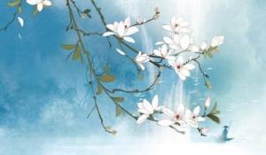 買房子選擇哪個(gè)樓層好 安全方便最重要