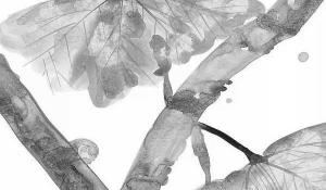 2021年末伏結(jié)束是哪一天 8月19日三伏結(jié)束