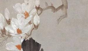 貓砂盆放門口影響風水嗎 不影響要謹慎選擇貓砂