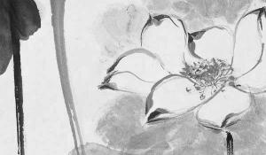 東墻電視墻裝什么顏色 家宅興旺財運亨通