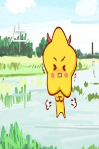 2024年夫妻一同犯太歲如何化解 潔身自好佩戴紅繩