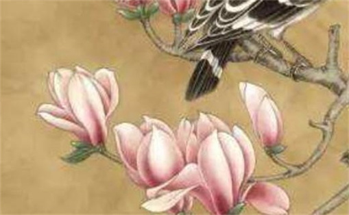 2024年農(nóng)歷正月初三出生的人命運如何 運勢開通福祿豐盈