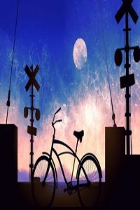 卜算子算命網(wǎng)