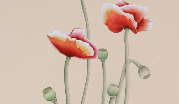 2024年農(nóng)歷一月屬兔人最佳的安門吉日一覽表