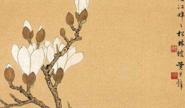 癸卯2024年農(nóng)歷一月屬龍人最佳的安門吉日一覽表