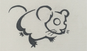 2024屬鼠全年完整運氣 2024屬鼠的全年運勢