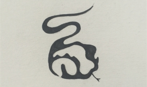 2024屬蛇全年完整運(yùn)氣 2024屬蛇的全年運(yùn)勢