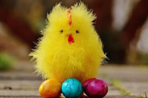 屬雞和屬牛的婚姻配嗎 屬雞和屬牛的合不合