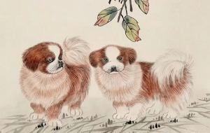 狗和牛合嗎相配嗎婚姻如何 牛和狗的屬相合不合