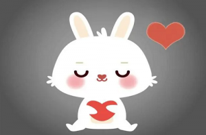 屬豬和屬兔的婚姻怎么樣 屬豬和屬兔的婚姻如何