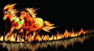 屬馬的三大忌配生肖