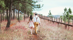 屬鼠女人最佳丈夫?qū)傧?>
                            </div>
                            <dl class=