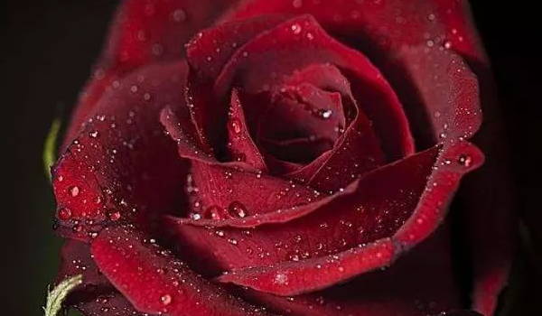 2024年農(nóng)歷十月十八是結(jié)婚最佳吉日期嗎 是結(jié)婚吉利日嗎