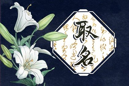 好聽(tīng)有創(chuàng)意的水果店名字 簡(jiǎn)潔大氣的水果店名字