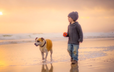 5月份生姓苗男孩名字推薦