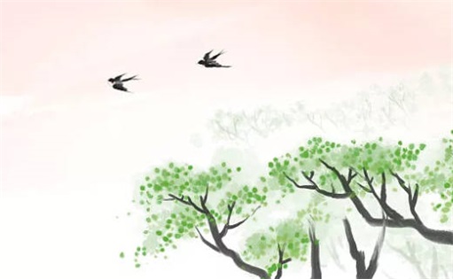 桃花運測試 屬狗人2023年十月什么時候表白成功率高