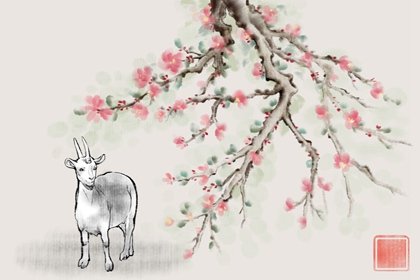 八字中的命格解析 命格十神代表什么