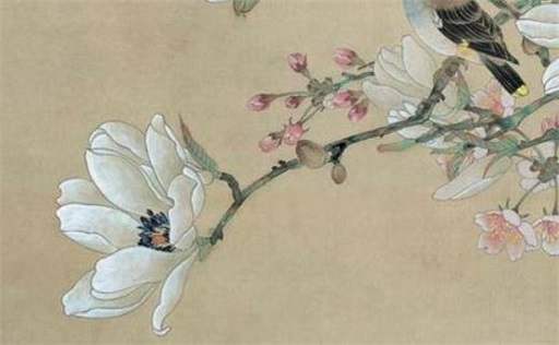 己巳蛇年出生人的性格姻緣分析