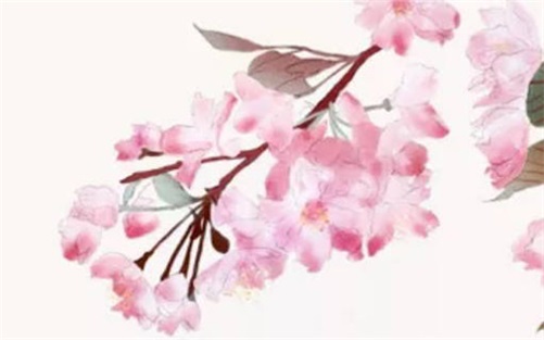 年柱桃花煞的不利影響有哪些