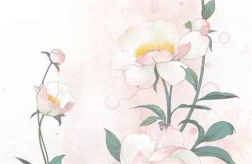 女命走偏財(cái)大運(yùn)感情運(yùn)程走勢(shì)如何