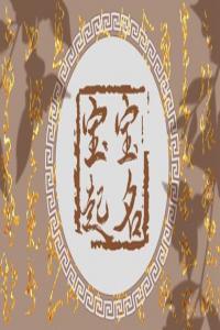 2024甲辰年寧姓取什么名字好聽(tīng)