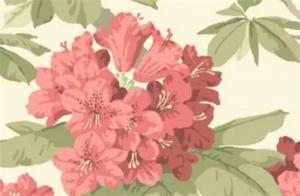 稱(chēng)骨算命為什么不準(zhǔn) 幾兩男命命運(yùn)好