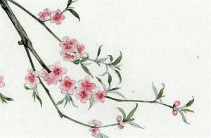 2024男女稱骨算命表大全 稱骨算命男女版加注解