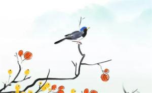 戊戌日柱女命最大優(yōu)勢 女命戊戌日柱2023年婚姻