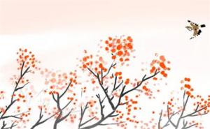 超級花心的女人八字 女命帶偏財說明花心