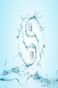 為什么千金難買四兩命 四兩命運(yùn)詳解！