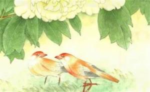 82年手機號尾數(shù)是幾最好 1982年終身幸運手機號