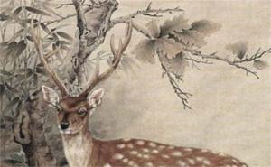 79年屬羊手機吉祥號是什么 79屬羊手機尾號后四位吉利