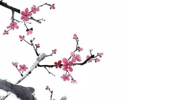 2024年農(nóng)歷十月二十二小雪適合安門嗎 今日老黃歷宜忌