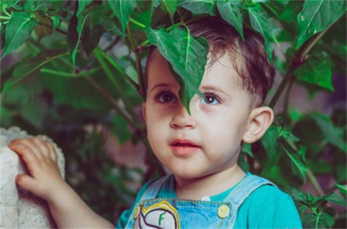 姓楊的女孩名字洋氣的免費(fèi)取名的 姓楊女寶寶取名字大全集2024 姓楊的女孩名字洋氣的免費(fèi)取名的 姓楊女寶寶取名字大全集2024