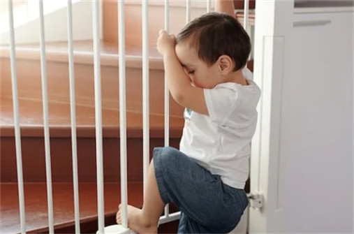 楊姓女孩名字2024年名字大全 楊姓女孩取名2024龍年兩個字