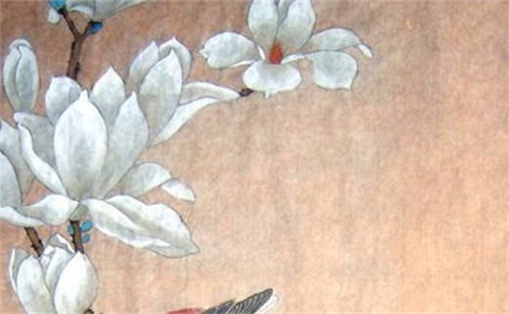 女性手機(jī)號碼有什么好最好 怎樣選手機(jī)號碼對自己有利