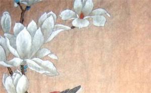 女性手機號碼有什么好最好 怎樣選手機號碼對自己有利