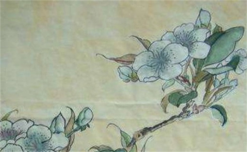 男人能不能用19和87的號碼 越用越好的數(shù)字號碼