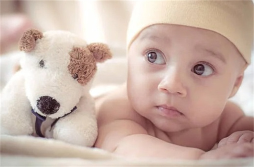 趙姓女孩名字大全屬龍2024年 姓趙屬龍的女孩怎么起名字