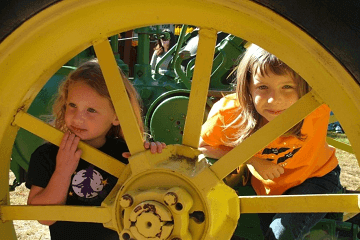 龍年寶寶名字大全免費更多