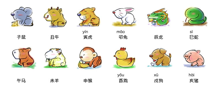 十二生肖排序、順序表