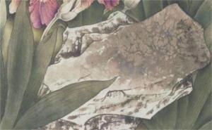 手機尾號11111好不好 號碼5678和1111哪個好