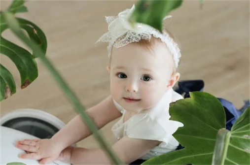 2024龍年寶寶名字大全 借助名詞起名字 2024龍年寶寶名字大全 借助名詞起名字