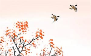 可愛有趣的寶寶名字