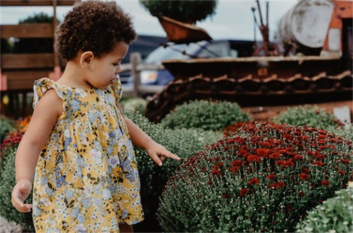 24年寶寶名字大全男孩 獨(dú)特有個(gè)性的男孩起名