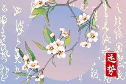 2024年星座運(yùn)勢(shì)排行榜：哪些星座將迎來(lái)運(yùn)勢(shì)巔峰？